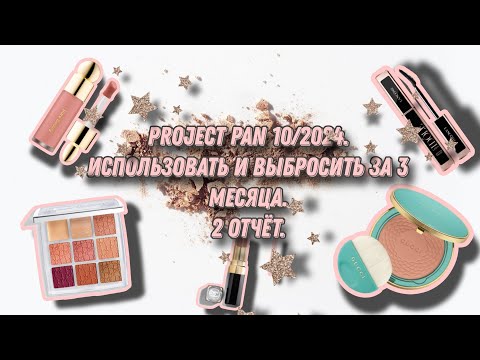 Видео: Project pan 10/2024. Использовать и выбросить за 3 месяца. 2 отчёт.