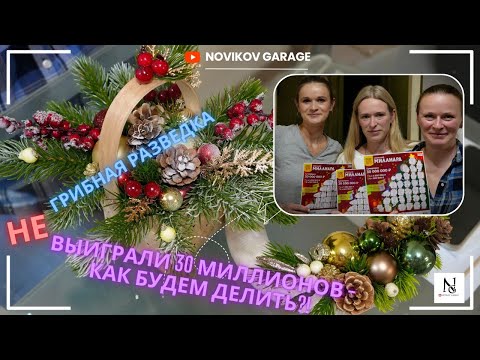 Видео: Грибная разведка 23 ноября 2024. Всеволожский район.