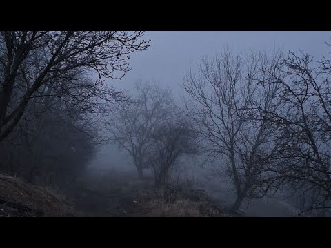 Видео: мой плейлист speed up [#6]