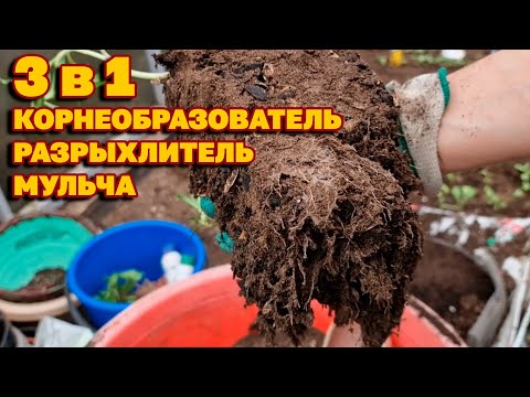 Видео: БЕСПЛАТНАЯ МУЛЬЧА РАНЬШЕ ВЫБРАСЫВАЛИ В МУСОР ТЕПЕРЬ СОБИРАЮ И ИСПОЛЬЗУЮ В ОГОРОДЕ@obovsemsmarusya