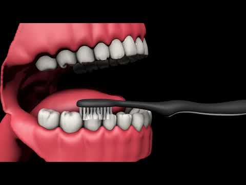 Видео: toothbrush C4D | зубная щетка