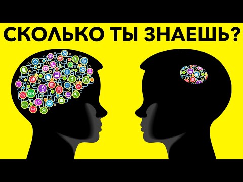 Видео: Насколько ты эрудирован? Тест на общие знания