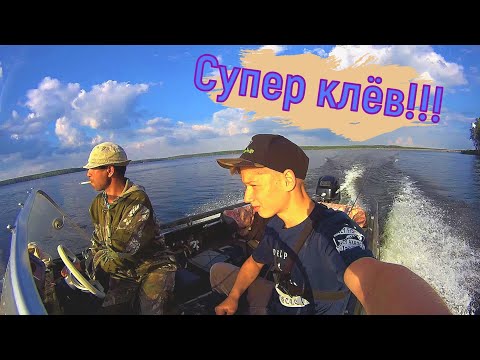 Видео: ЭТА ПРИМАНКА КОСИТ ВСЮ РЫБУ!!! Рыбалка на РАТЛИНЫ. Июль 2020