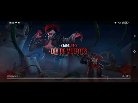 Видео: 13 ноября 2025 г.