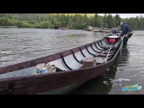 Видео: Хариус с верховья Маны