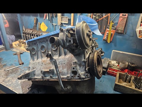 Видео: сентябрь   -  декабрь 2024