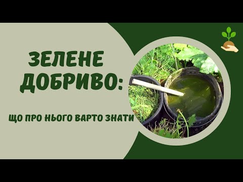 Видео: Що треба знати про зелене добриво