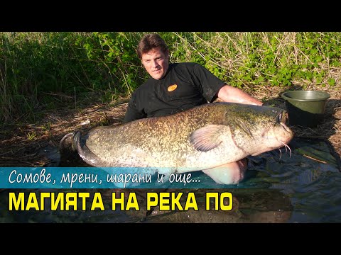 Видео: Магията на река По