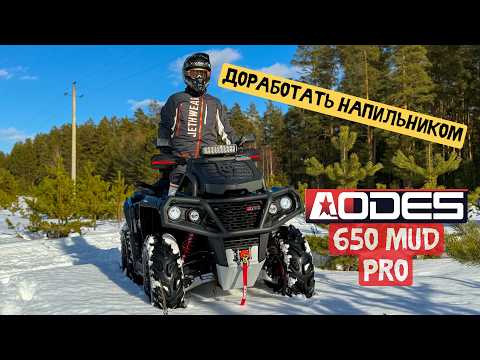 Видео: КИТАЙСКАЯ ИГРУШКА AODES 650 MUD PRO