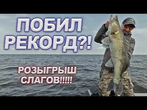 Видео: СУДАКИ НА СЛАГИ SmolFish