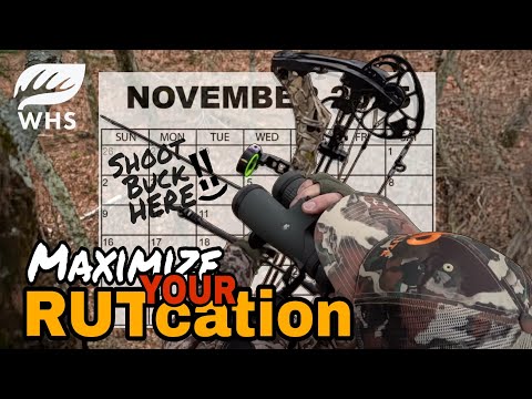 Видео: Как максимально эффективно использовать отпуск | Прямо сейчас