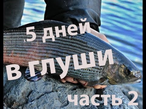 Видео: Забытые реки #4 Пять дней в глуши,часть 2