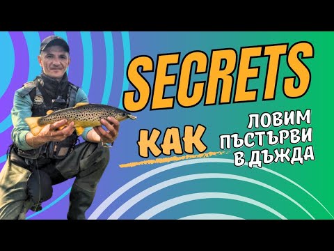 Видео: Извадих 4 пъстърви от един вир. Каква беше успешната примамка?