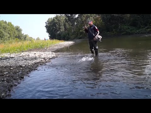 Видео: Вертушки Mepps в работе! ОБЗОР С ЛУЧШИМИ ФРАГМЕНТАМИ РЫБАЛОК НА УЛОВИСТЫЕ ВЕРТУШКИ МЕПС