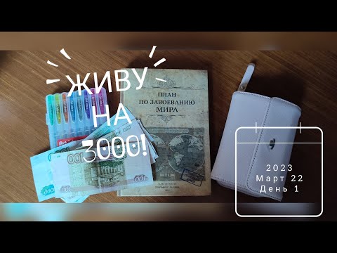 Видео: ЖИВУ НА 3000 С ДВУМЯ ДЕТЬМИ день 1