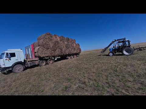 Видео: СЕНОКОС 2025. САНЯ потерялся. Наконец-то 2000  рулонов. Лечима бажухин глаз)