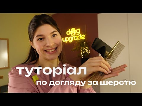 Видео: 95% власників роблять це неправильно! Як РОЗЧІСУВАТИ собаку правильно — пуходерка та гребінь