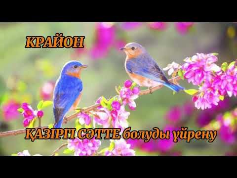 Видео: ҚАЗІРГІ СӘТ. ОСЫНДА және ҚАЗІР болу. Өмір ағынымен өмір сүр!