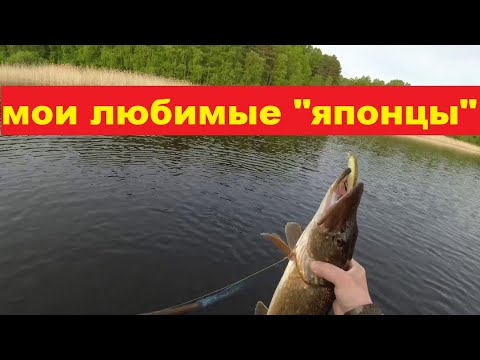 Видео: Мои любимые японцы