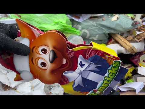 Видео: Поход на свалку, куча находок. Деньги под ногами. Мусорщик