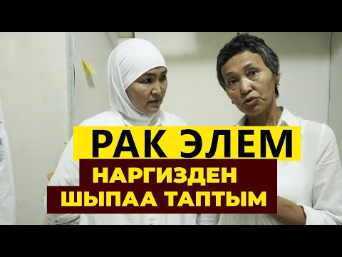 Видео: Элдик дарыгер НАРГИЗден АЙЫККАН адамдар