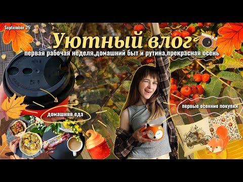 Видео: Уютный осенний влог🍂✨️первые осенние покупки/домашний уют/рабочая рутина/вкусняшки и домашняя еда👐🏻