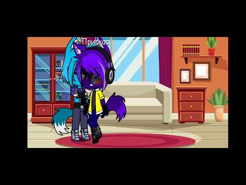 Видео: жизнь за кадром//разноцветные коты Бискаса//