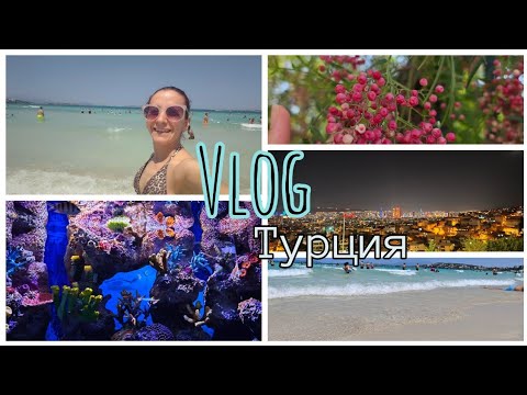 Видео: Пътуване в Турция! Хранихме скатове! Цените на храната в магазина и на пазара!