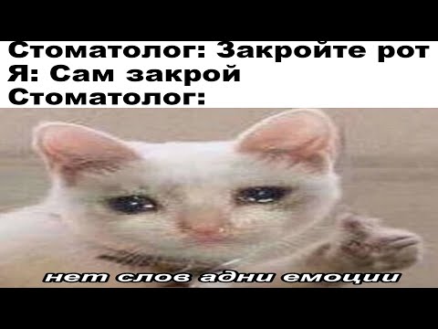 Видео: Свежие мемчики.Дневная подборка мемов 6