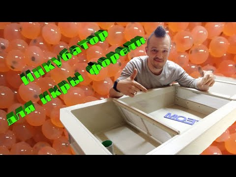 Видео: Инкубатор для икры форели/Trout egg incubator