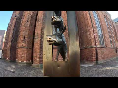 Видео: Как меняется Старый Город Риги