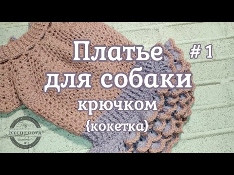 Видео: Платье для собаки, вязание крючком, часть 1 кокетка