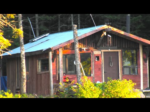 Видео: Выходные в уединённом домике в Ньюфаундленде, эпизод №124