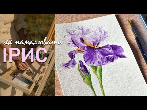 Видео: Як намалювати ірис акварельними фарбами. Покроковий урок малювання