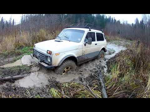 Видео: Заруба трёх Нив!!! часть 1