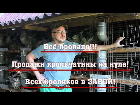 Видео: Продажи крольчатины на нуле! Всех кроликов в забой!