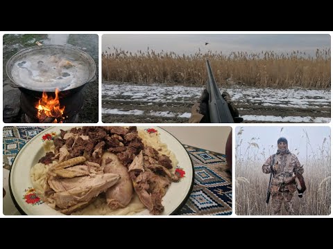 Видео: Қырғауылдан Бешбармак. Соңғы аңшылық?Бешбармак из фазана.