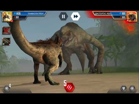 Видео: 23 октября 2025 г.