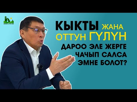 Видео: Биогумустун  келечеги? Кайсы өсүмдүк менен бренд боло алабыз? Оттун гүлүн колдонсо болобу? Пайдасы?