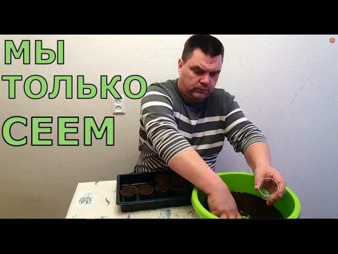 Видео: ПЕРЦЫ в АПРЕЛЕ на РАССАДУ, почему так ПОЗДНО СЕЮ?