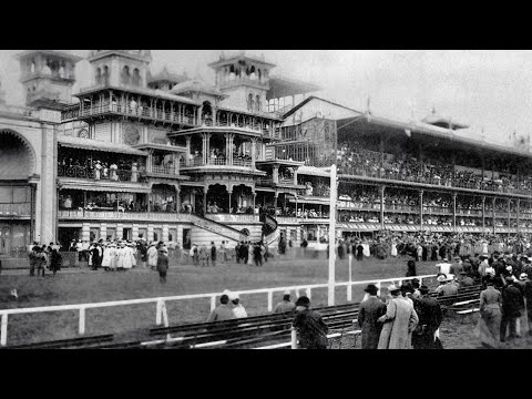 Видео: Рысистое коневодство: ответы на вопросы