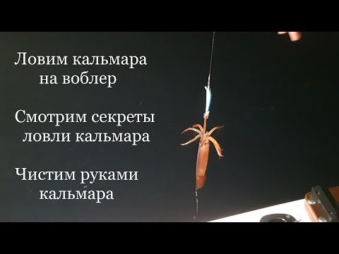 Видео: Ловим кальмара на воблер.Смотрим секреты ловли кальмара.Чистим руками кальмара.