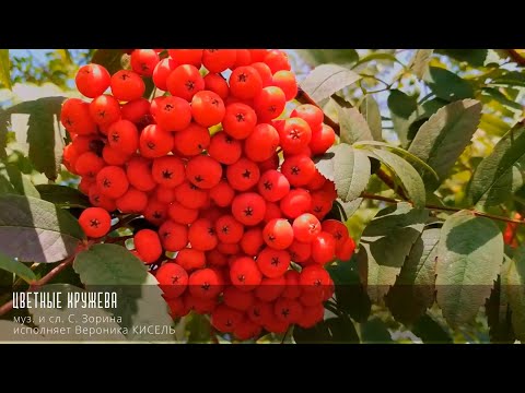 Видео: "Цветные кружева"