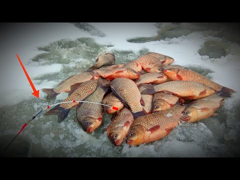 Видео: СЕКРЕТНАЯ ПРОВОДКА И КАРАСЬ НЕ УСТОИТ.Ловля карася на боковой кивок