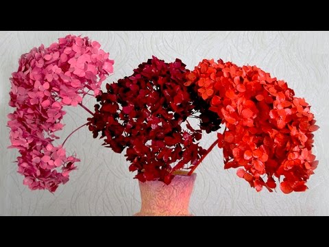 Видео: Как покрасить сухие цветы