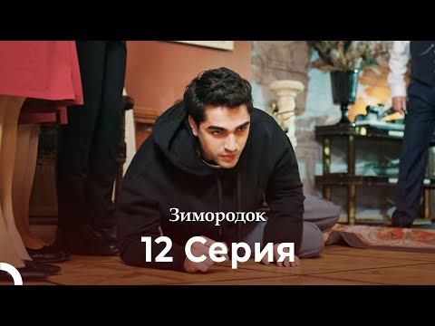 Видео: Зимородок 12 Cерия (Русский дубляж) (4K)