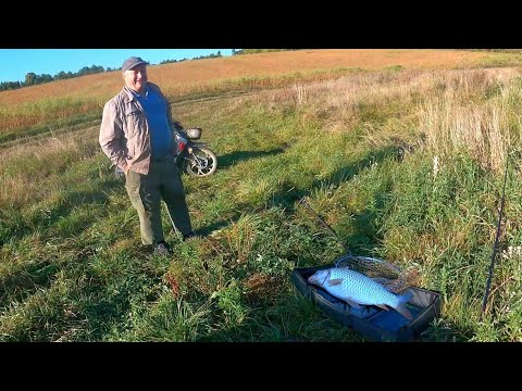 Видео: Чого я Сюди Приїхав. Осіння Рибалка на КОРОПА і КАРАСЯ