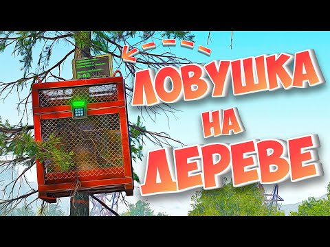 Видео: ЛОВУШКА НА ДЕРЕВЕ! УБИЛИ ЧИТЕРА в РАСТ/RUST