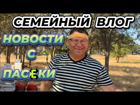 Видео: НАШ  ДРУГ  ОШАРАШИЛ  НАС  НОВОСТЬЮ!  НЕ СПИМ ,  ДУМКИ  ГАДАЕМ?!