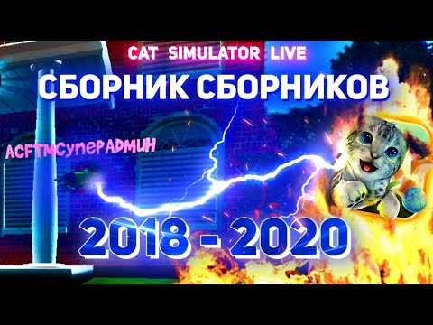 Видео: Сборник Сборников! Лучшие моменты стримов Cat Simulator Live!